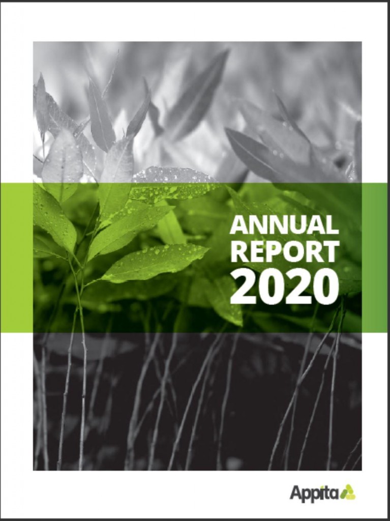 Annual report 2020 image